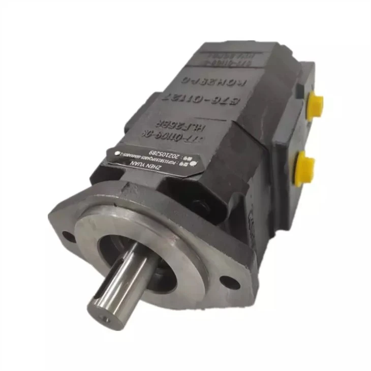 Rexroth PGF SERIES Trade Assurance Ersetzen Sie die Innenzahnradpumpe PGF PGF2 PGF2-22/006RN01VM Hydraulikölpumpe